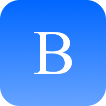 Bispages Logo